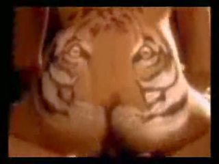 Feed ang tiger